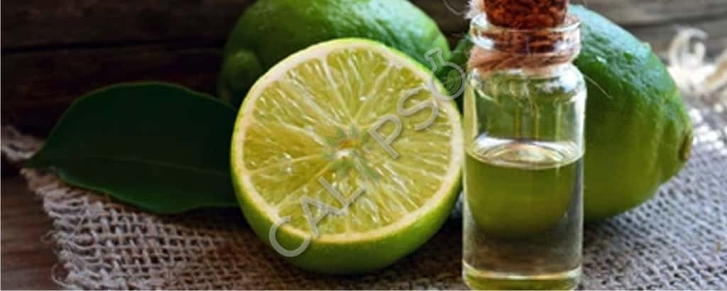 Olio essenziale di calce